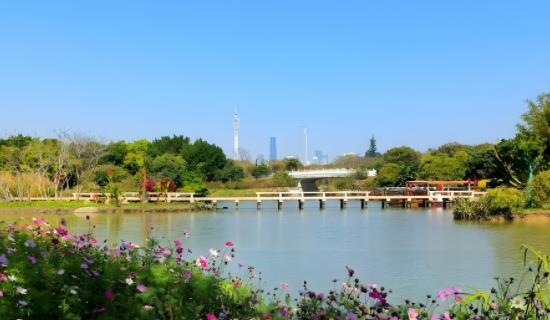濕地景區(qū)生態(tài)因子監(jiān)測(cè)系統(tǒng)方案 保障景區(qū)生態(tài)系統(tǒng)健康可持續(xù)發(fā)展
